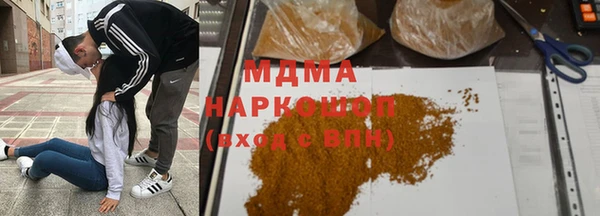 индика Арсеньев