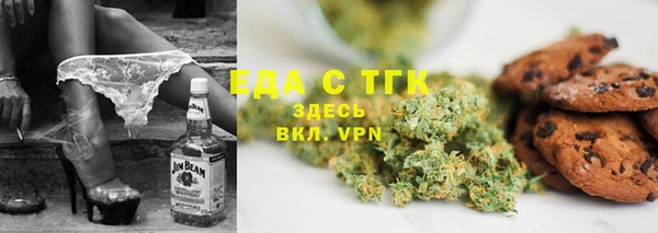 индика Арсеньев