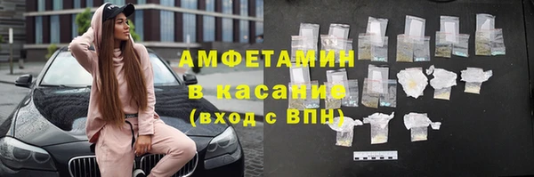 индика Арсеньев
