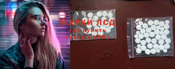индика Арсеньев