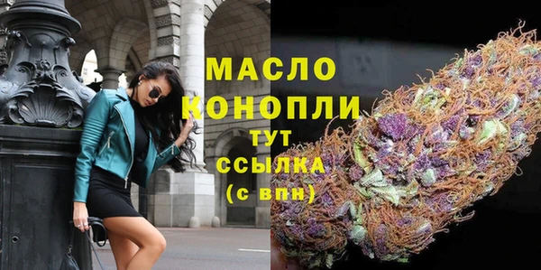 индика Арсеньев