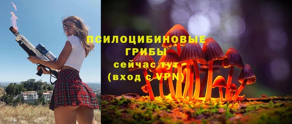 индика Арсеньев