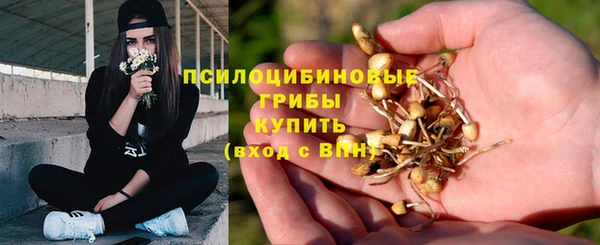 индика Арсеньев