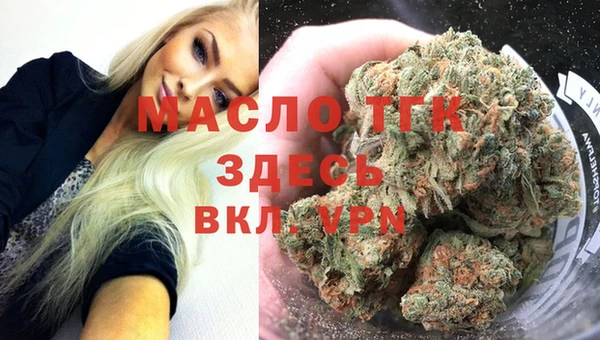 индика Арсеньев