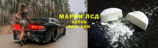 индика Арсеньев