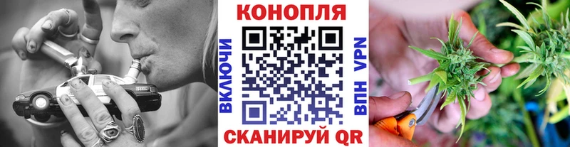 Шишки марихуана Amnesia  купить  сайты  Медынь 